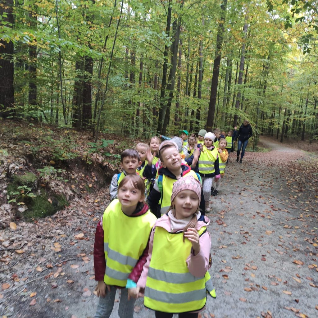 Przedszkolaki spacerują po lesie.