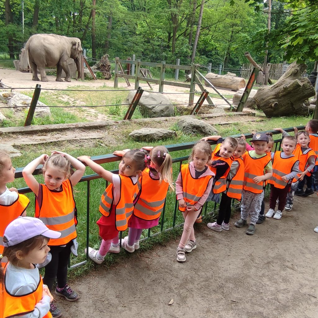 Dzieci z grupy Pszczółek oglądają słonie.