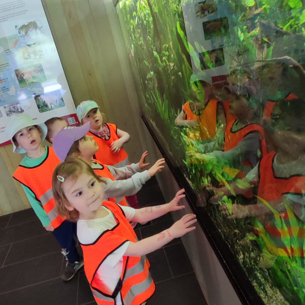 Przedszkolaki patrzą na akwarium z rybkami.