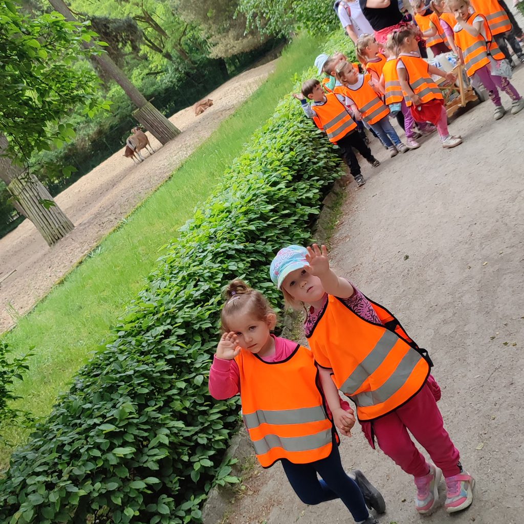 Dzieci z grupy Pszczółek spacerują wraz z wychowawcami po parku.