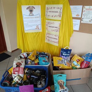 Zbiórka kramy dla zwierząt